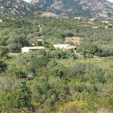 Agriturismo Agrisole Olbia Ngoại thất bức ảnh