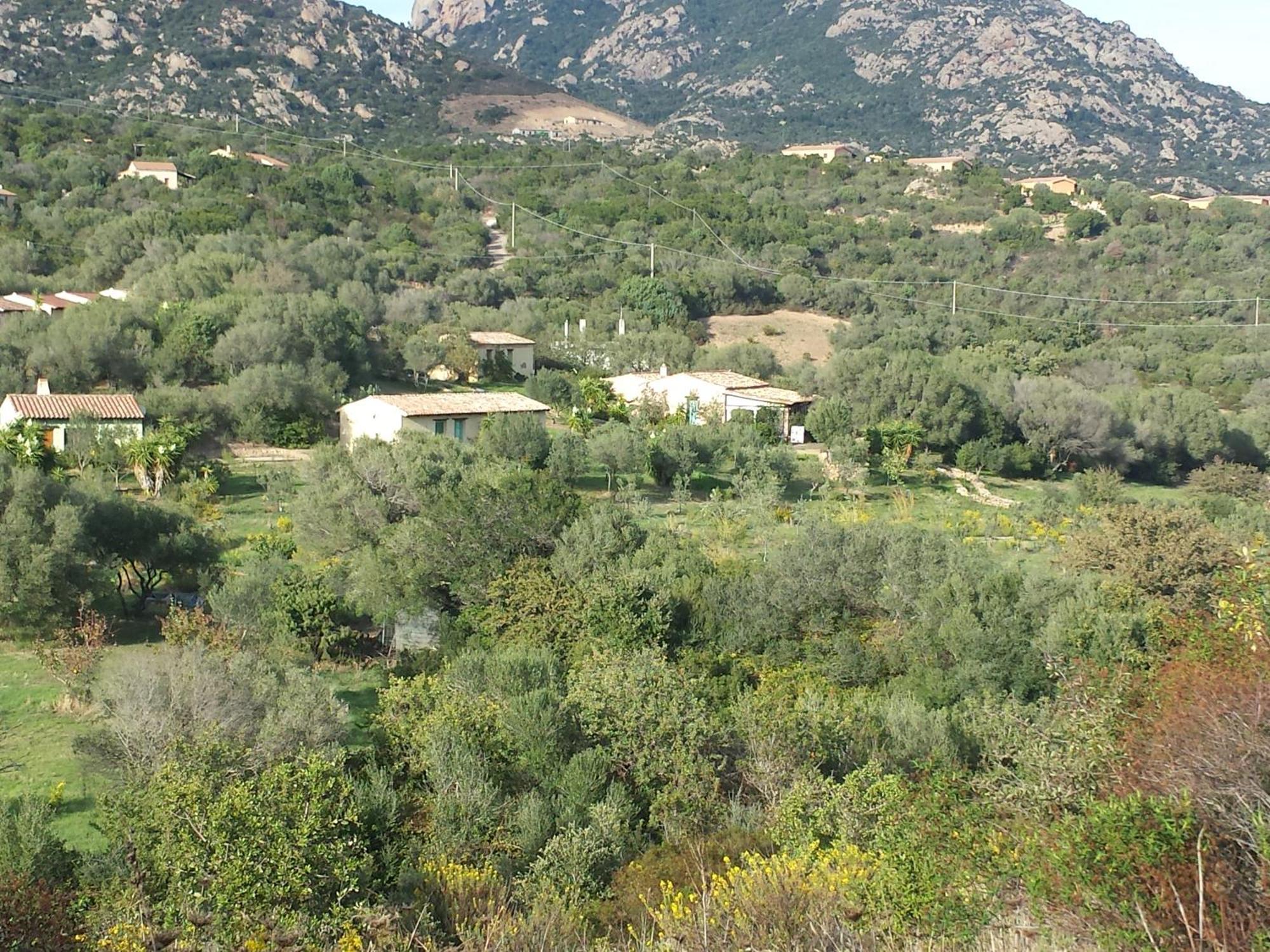 Agriturismo Agrisole Olbia Ngoại thất bức ảnh