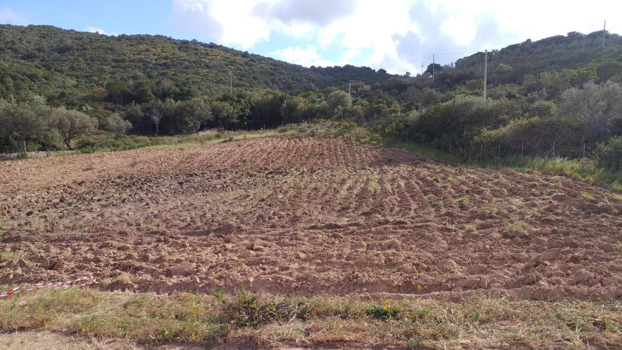 Agriturismo Agrisole Olbia Ngoại thất bức ảnh