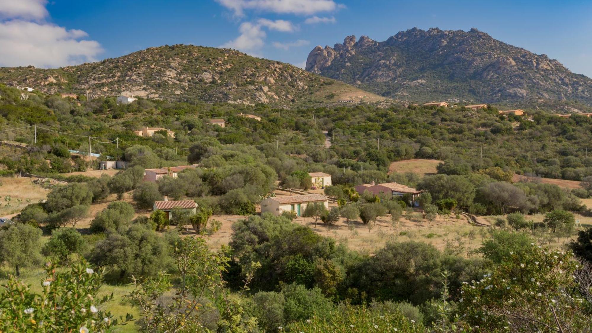 Agriturismo Agrisole Olbia Ngoại thất bức ảnh