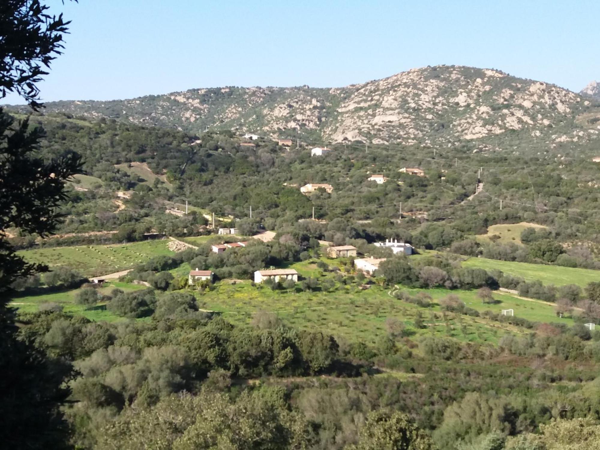 Agriturismo Agrisole Olbia Ngoại thất bức ảnh