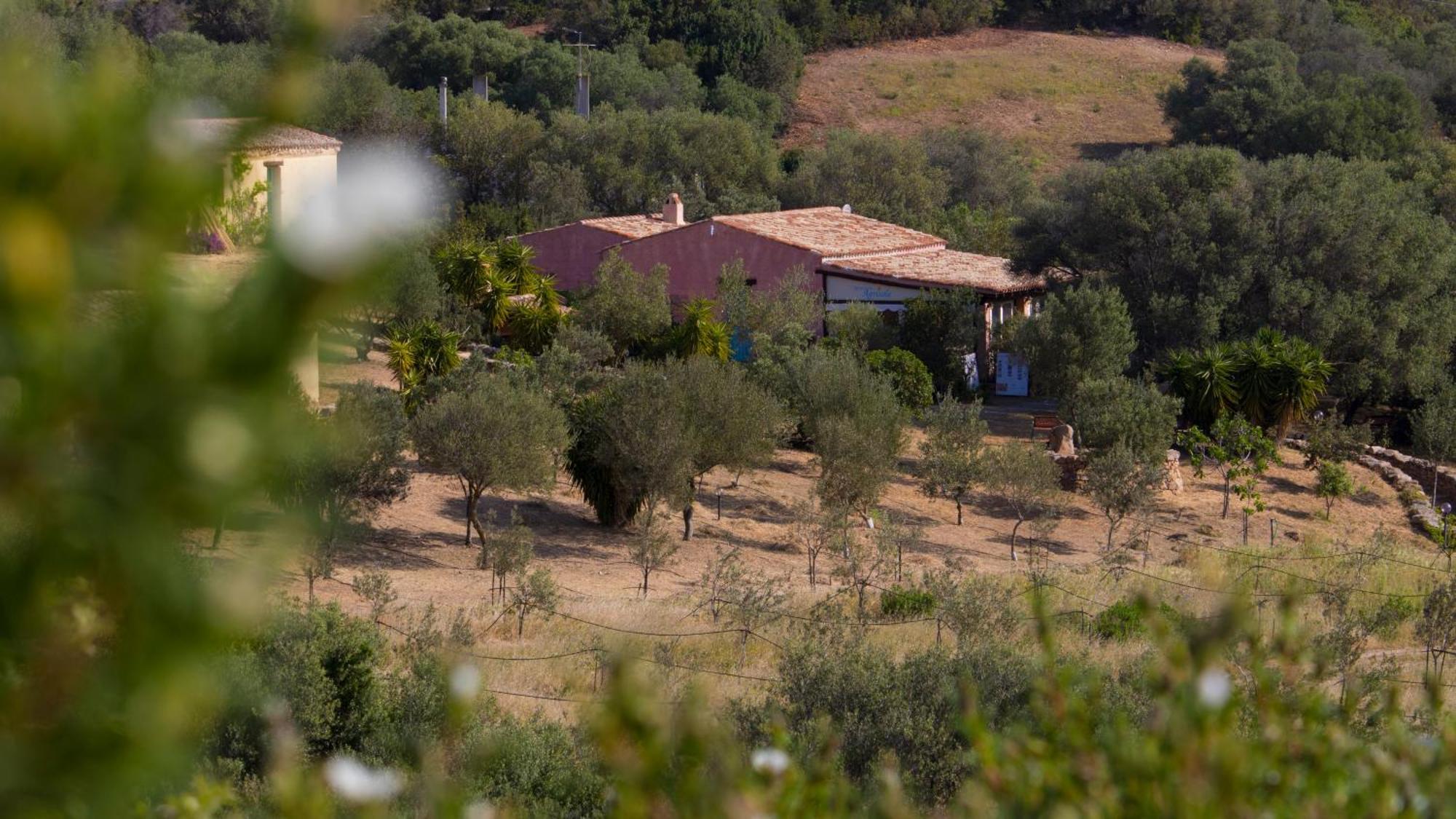 Agriturismo Agrisole Olbia Ngoại thất bức ảnh