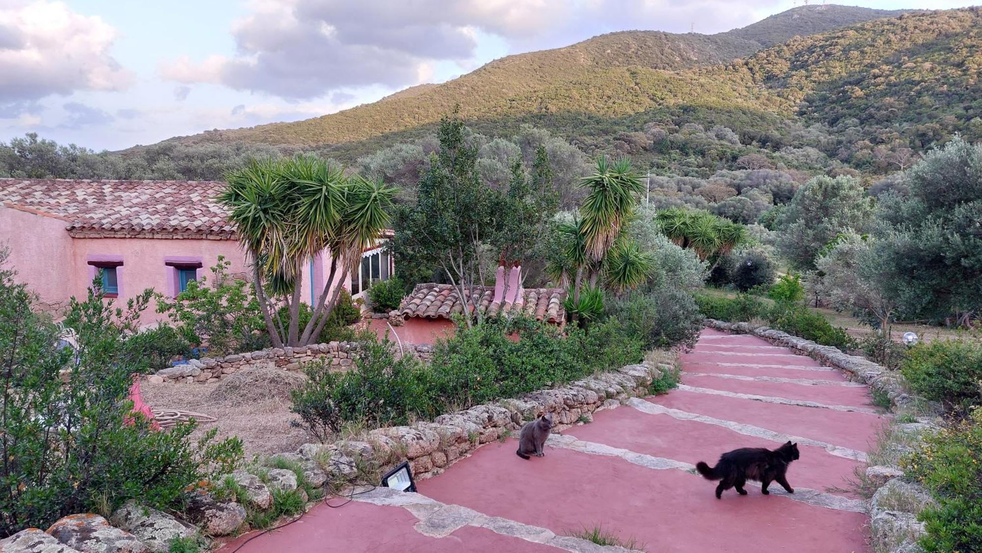 Agriturismo Agrisole Olbia Ngoại thất bức ảnh