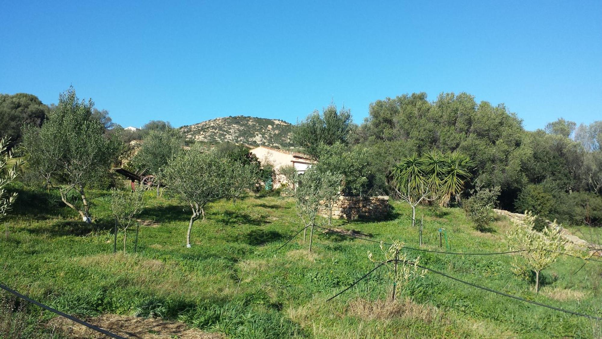 Agriturismo Agrisole Olbia Ngoại thất bức ảnh
