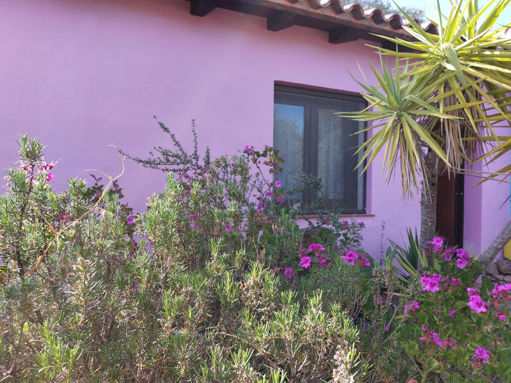 Agriturismo Agrisole Olbia Ngoại thất bức ảnh