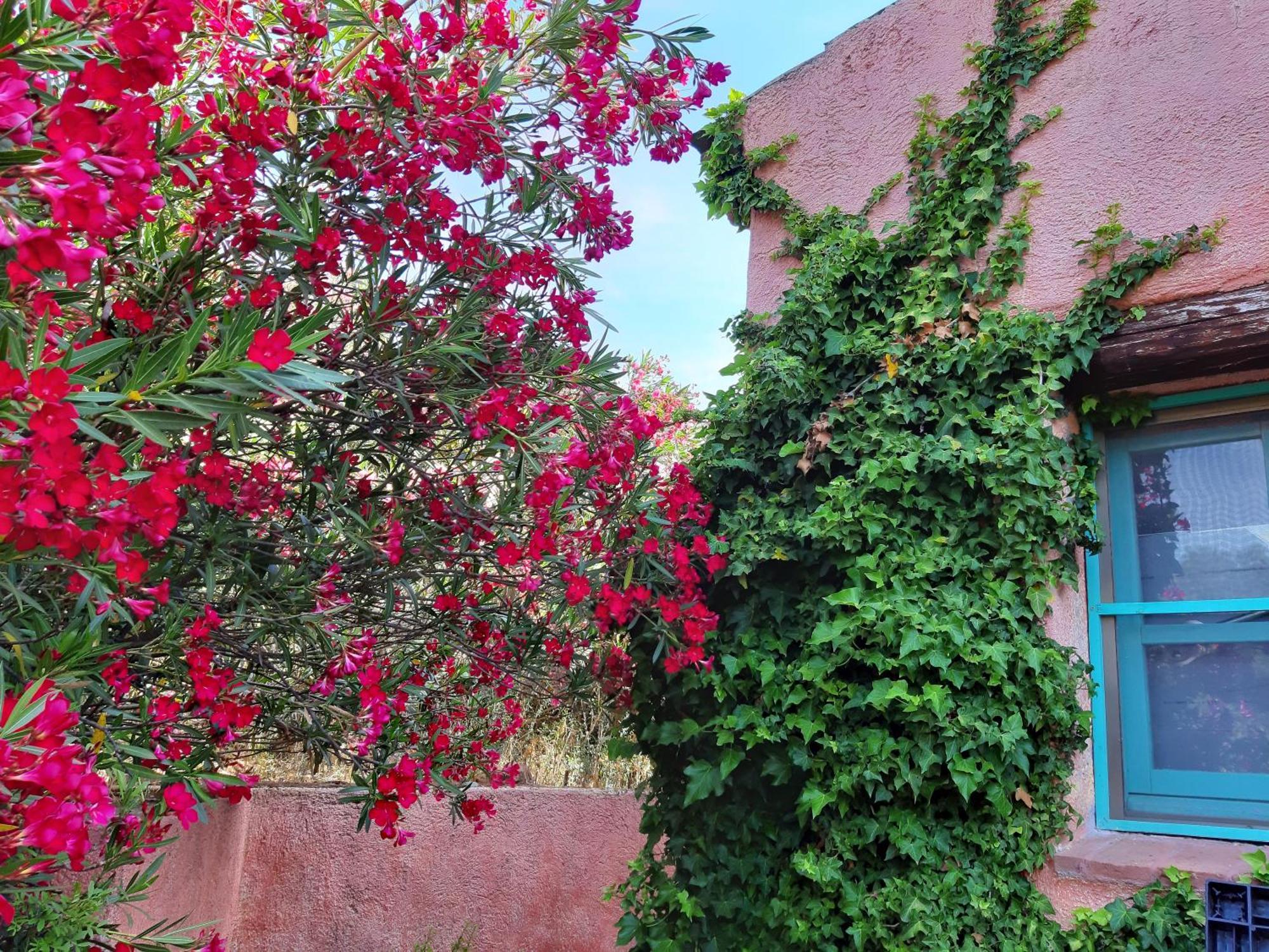 Agriturismo Agrisole Olbia Ngoại thất bức ảnh